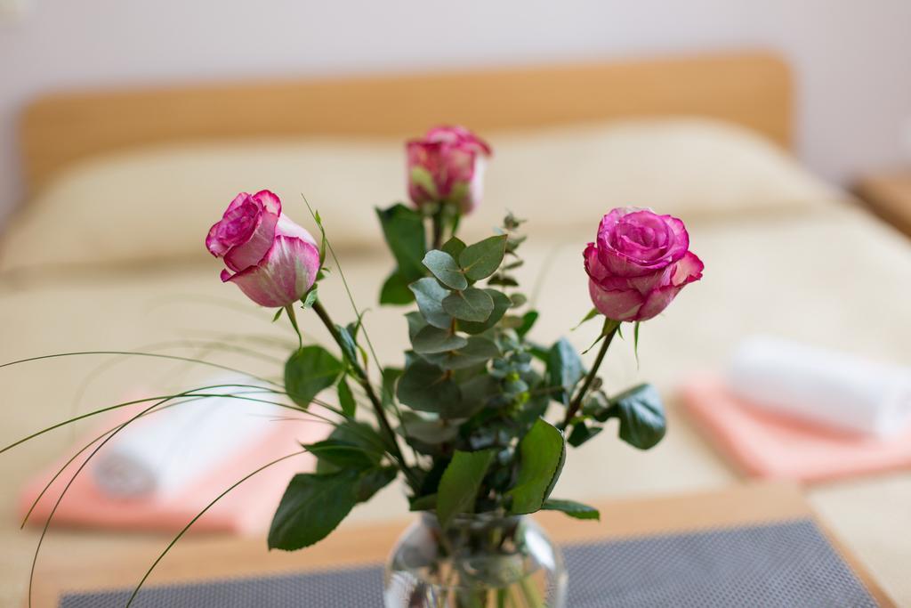 Nadija Studio Apartmani Krk Town Luaran gambar